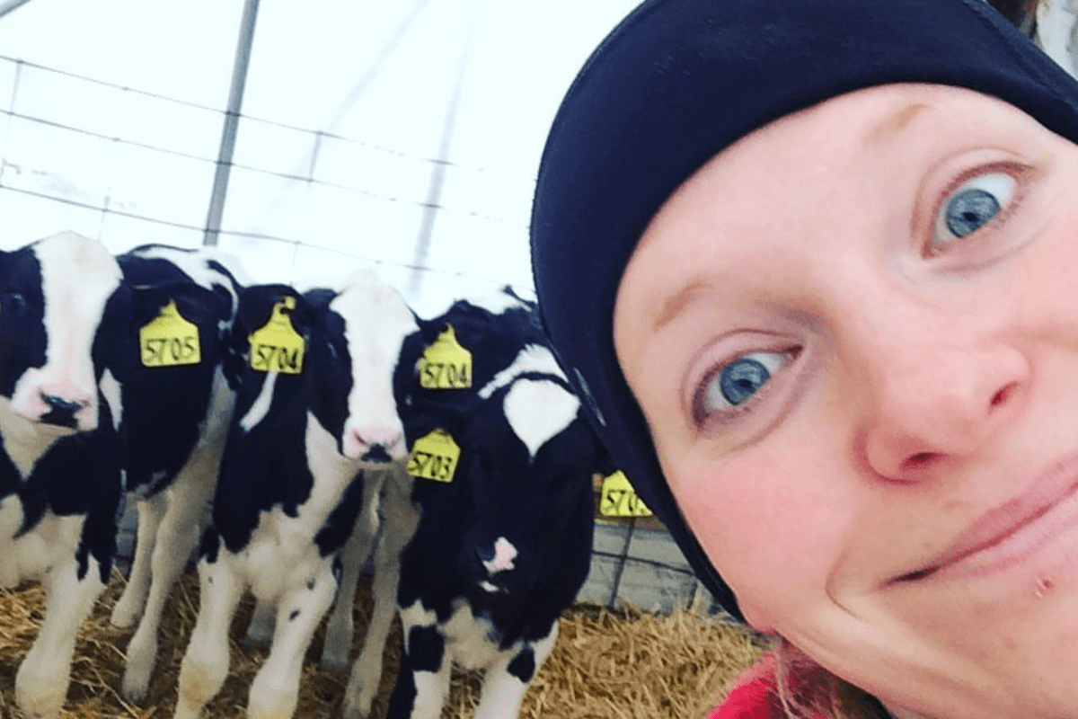 Dairy Farming in a Winter Wonderland
