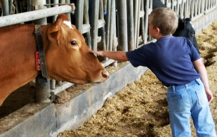 3 Things Moms Need to Know about Dairyâ€¦Farming