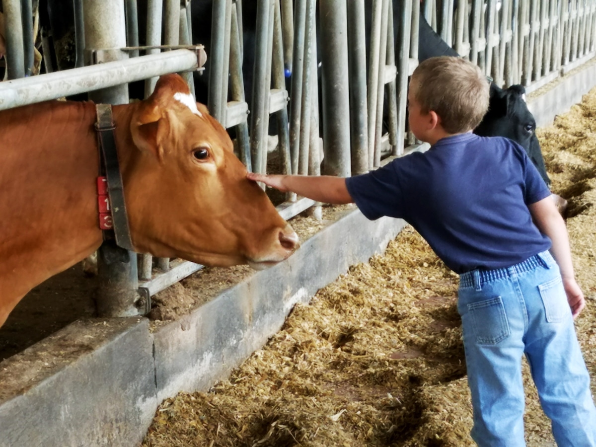3 Things Moms Need to Know about Dairyâ€¦Farming
