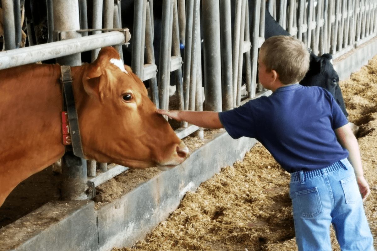 3 Things Moms Need to Know about Dairy Farming