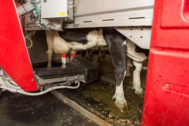 Robots and the Future of Dairy Farming