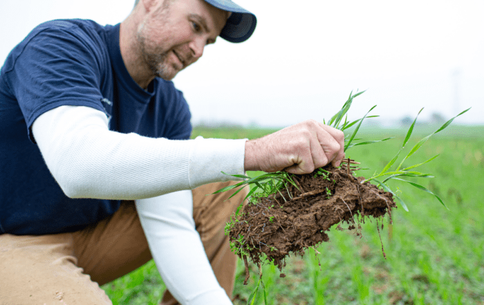 A man holding a large chunk of dirt and grass that he pulled from the ground.