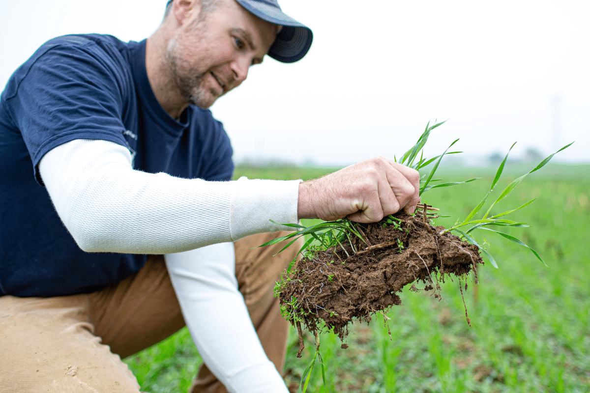 Dairy Farmers As Environmental Stewards