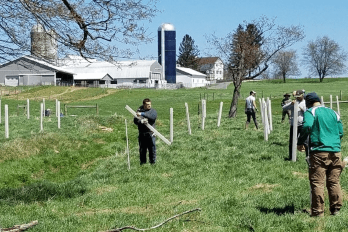 Tree Planting at Dairy Farm Helps Protect Waterways