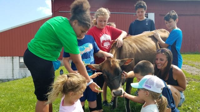 kids petting a jersey cow