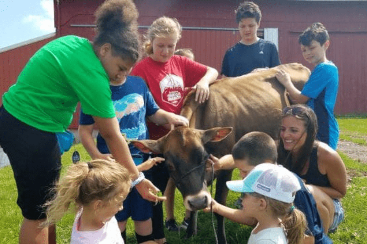 Campers Connect with Cows and Farming