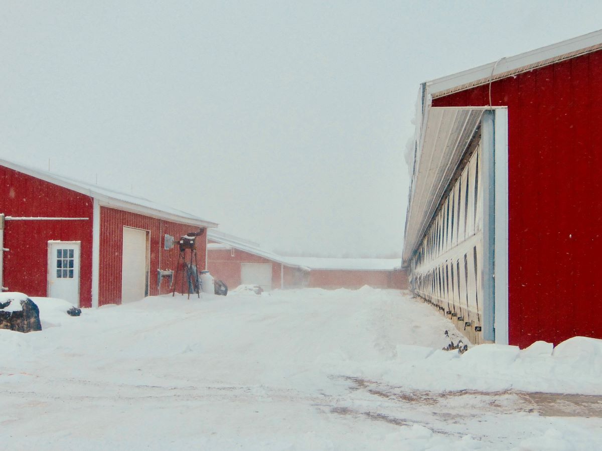 A Red Barn Covered In Snow