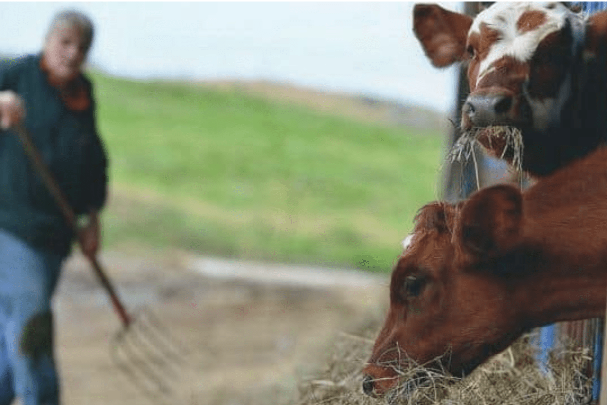 Empowered Women take Dairy Farms into the Future