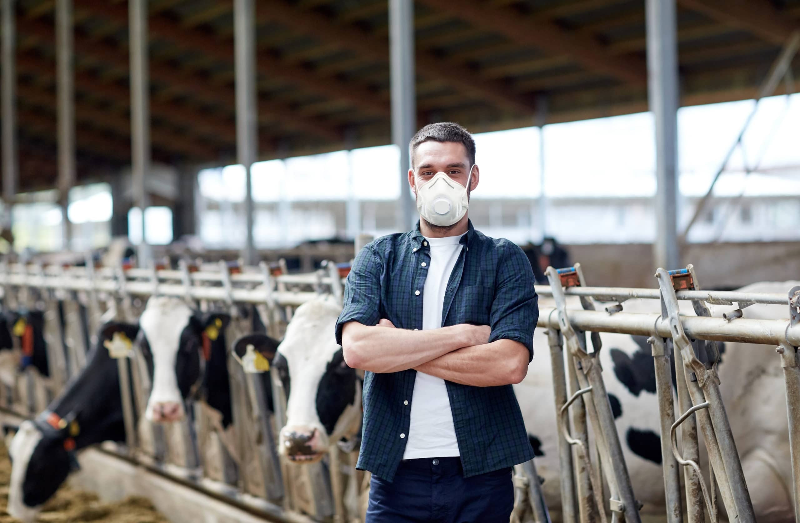Tips to Keeping Dairy Farm Families, Employees Safe During the Coronavirus Pandemic