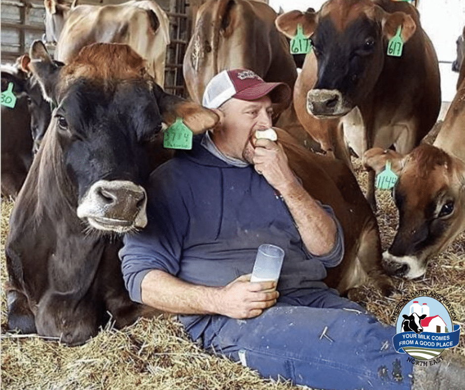 Get Social for National Dairy Month 2020