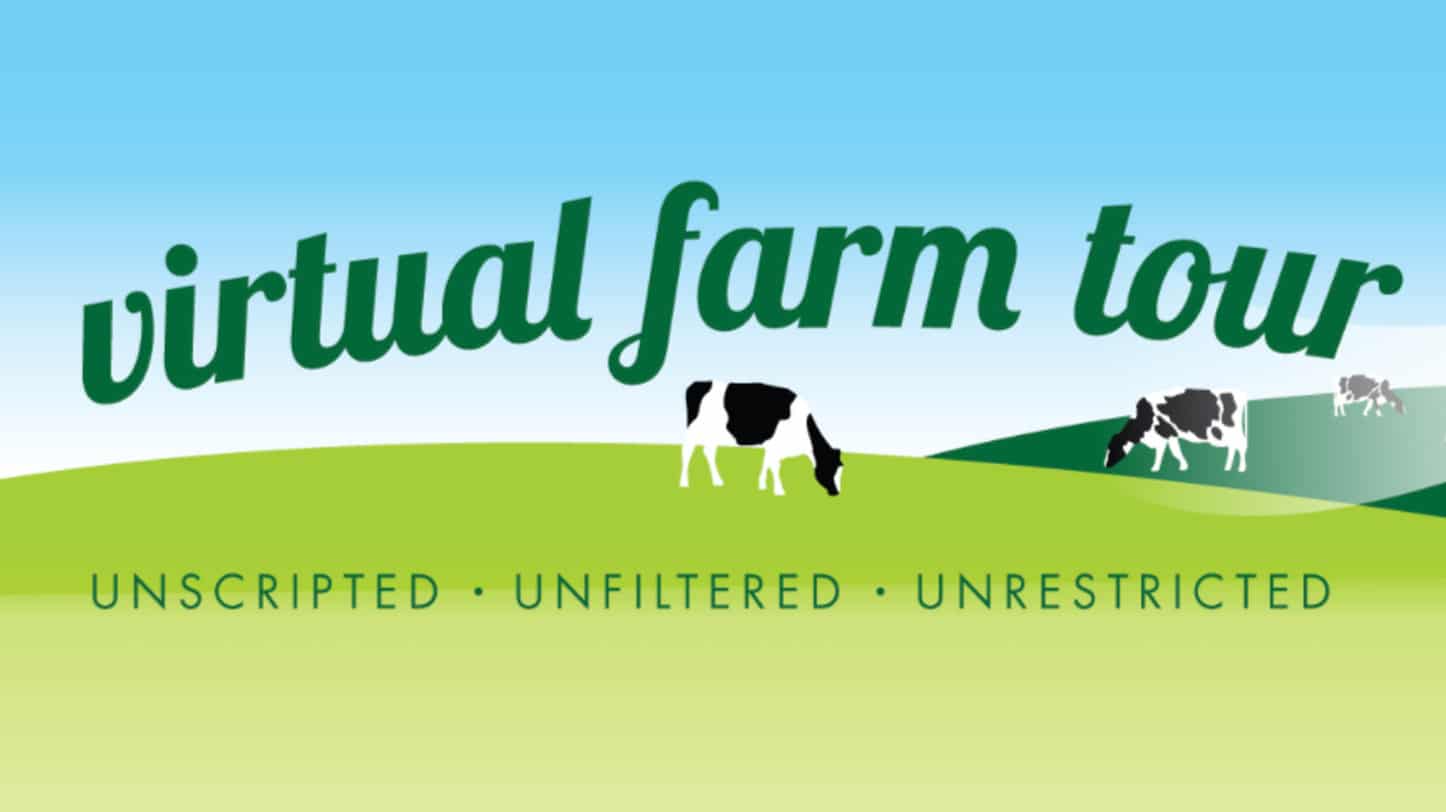 Virtual Farm Tour Training Tips for Farmers Offered Locally, Nationally