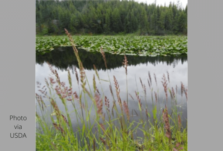 Conservation Resources Available to Farmers in the Chesapeake Bay Area