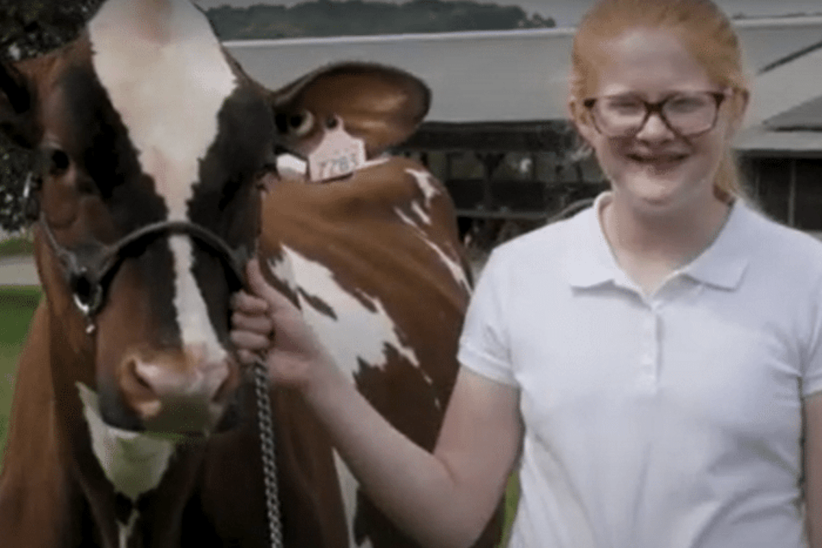 2020 New York State Fair Virtual Dairy Barn Experience