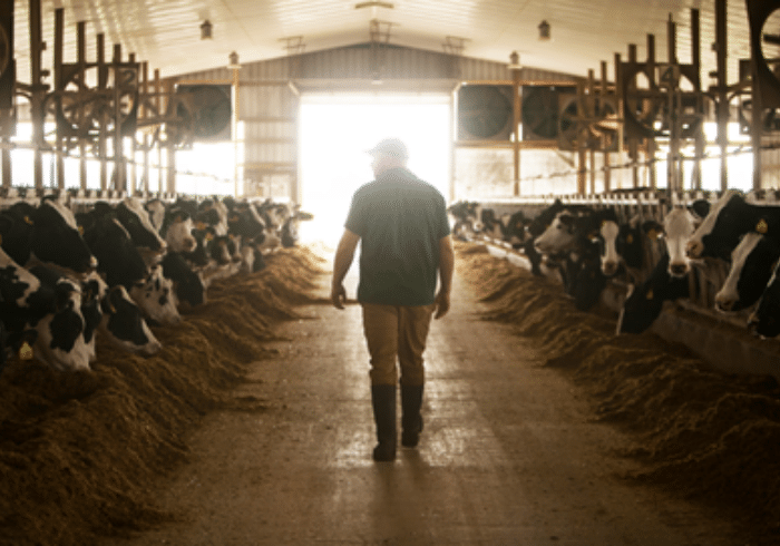 How dairy farmers are protecting our planet