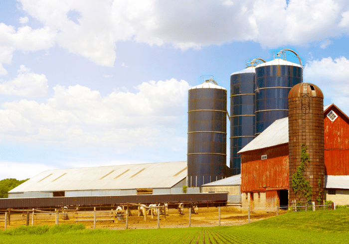 Every Day Is Earth Day for Dairy Farmers