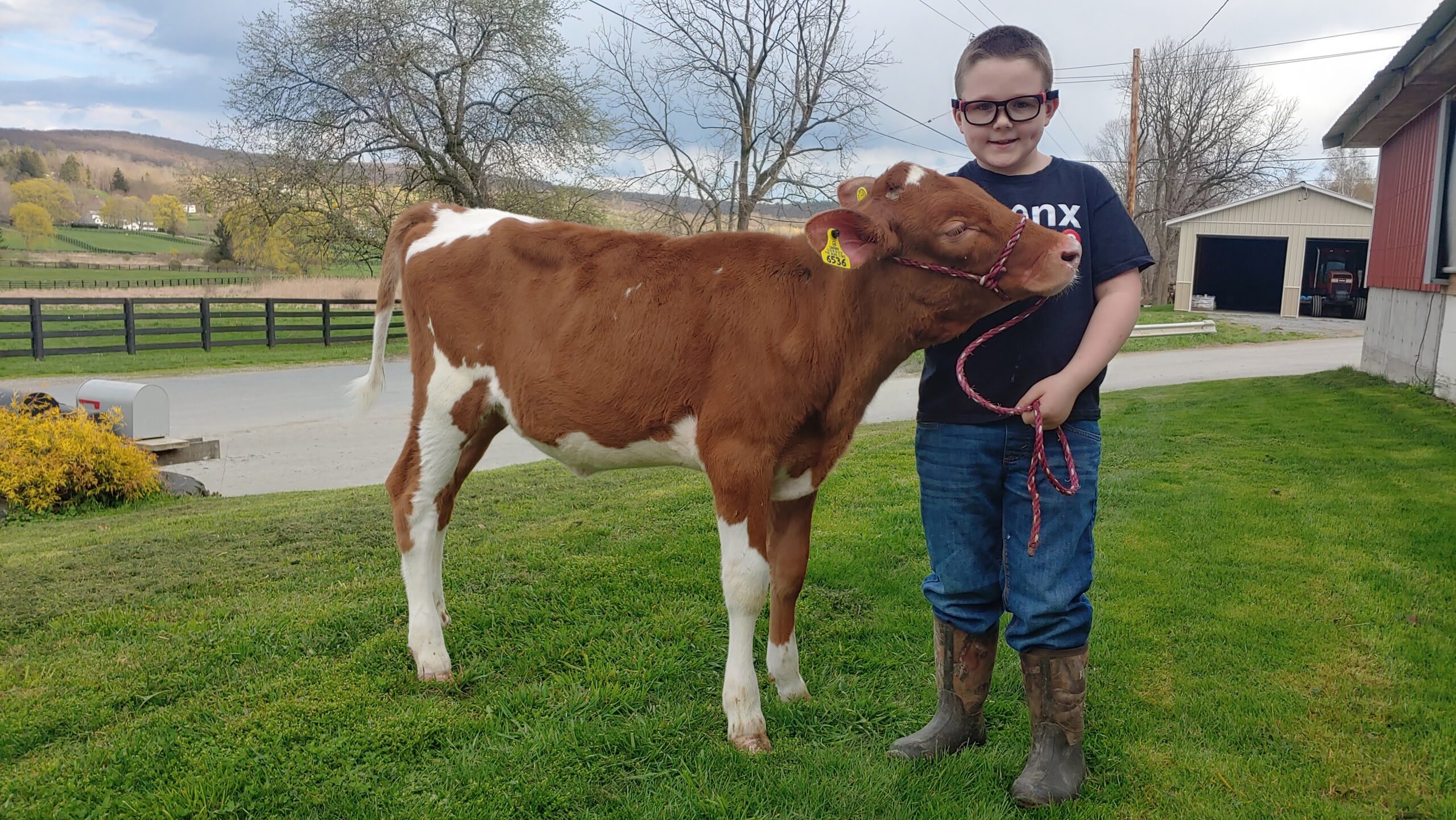 This American Dairy Farmer | Amos Coon