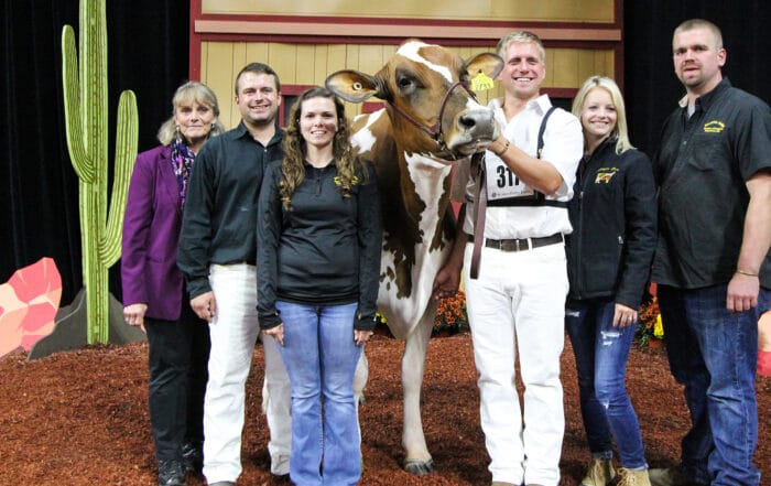 creek family with a show cow