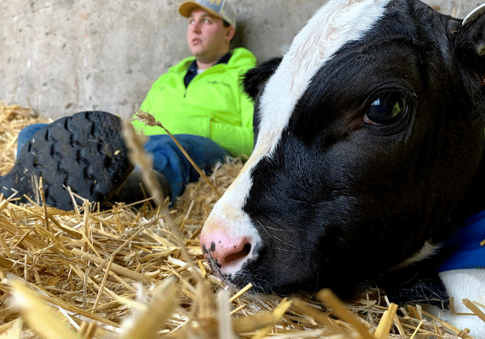 What Makes the Dairy Farm an Amazing Place to Learn?