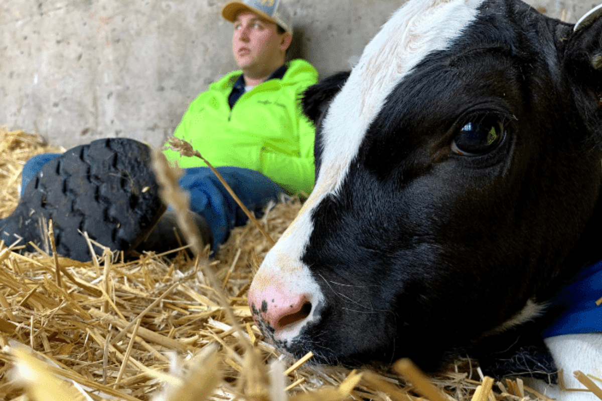 What Makes the Dairy Farm an Amazing Place to Learn?