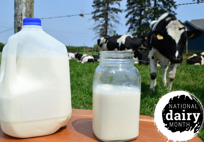 National Dairy Month — June 2021