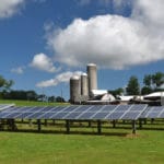 Solar panels on a farm