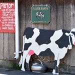 Wooden cow sign leaning on a wall