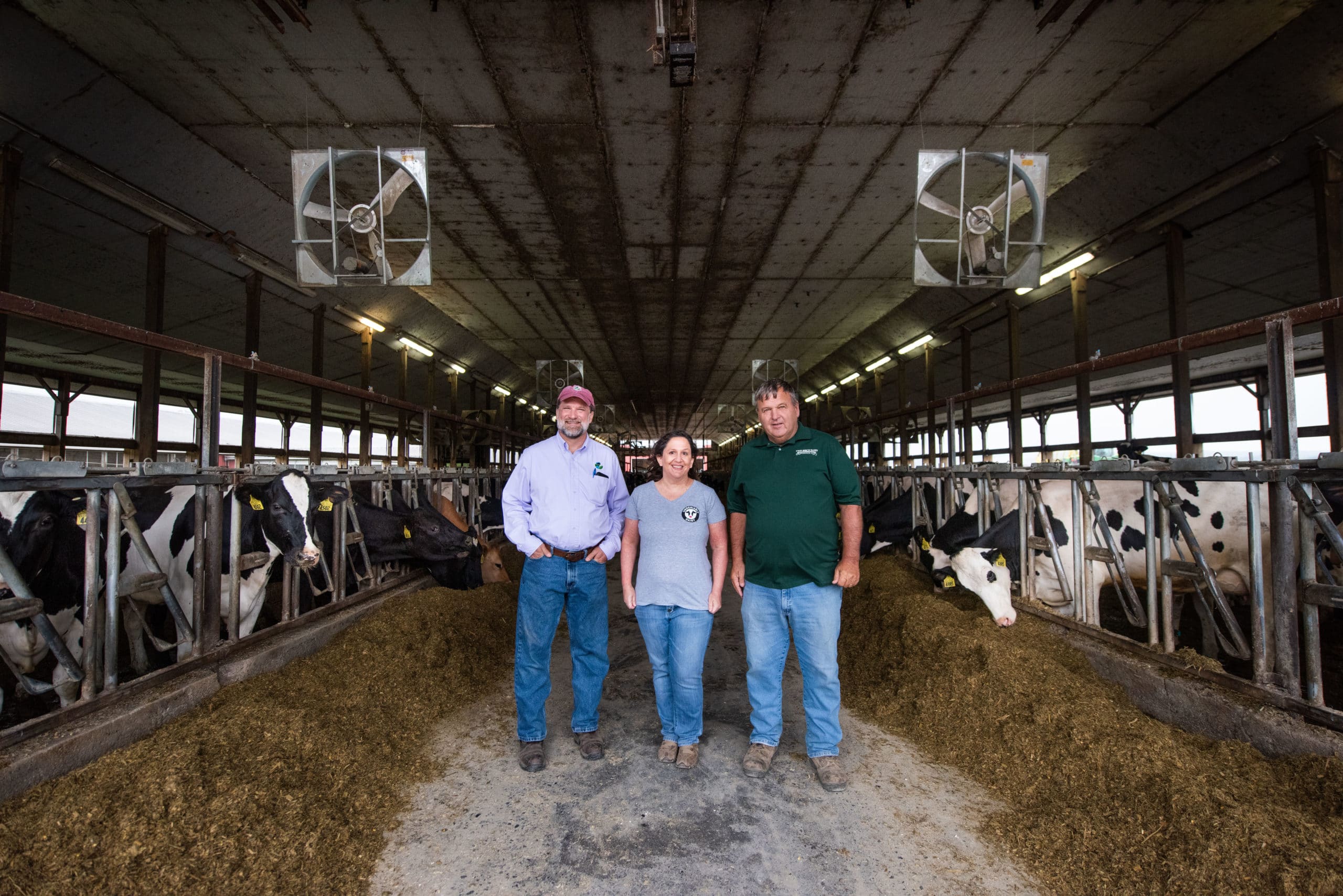Three people standing in a cow barn