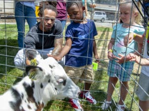 A family petting goats behind a fence.