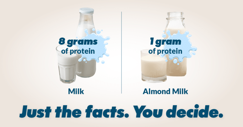 Milk Protein Facts American Dairy Association NE milk-protein-facts-american-dairy-association-ne