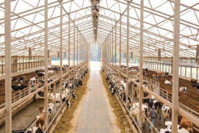 Crane shot of a cow barn