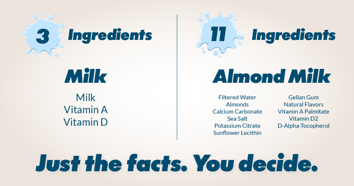 Ingredients infographic