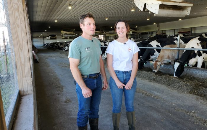 A young farming couple stands alongside a row of cows feeding inside a barn.