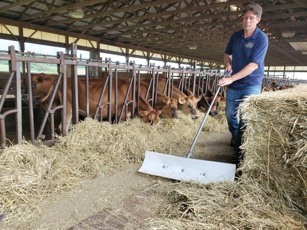 farmer moving feed
