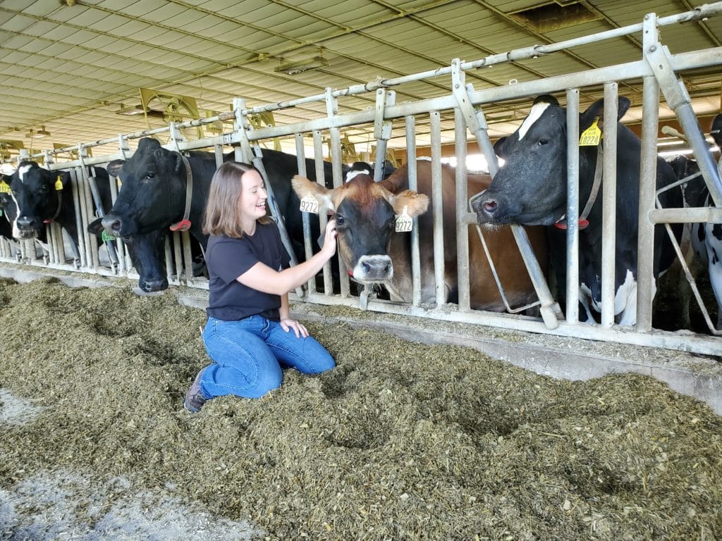 farmer sitting next to a cow