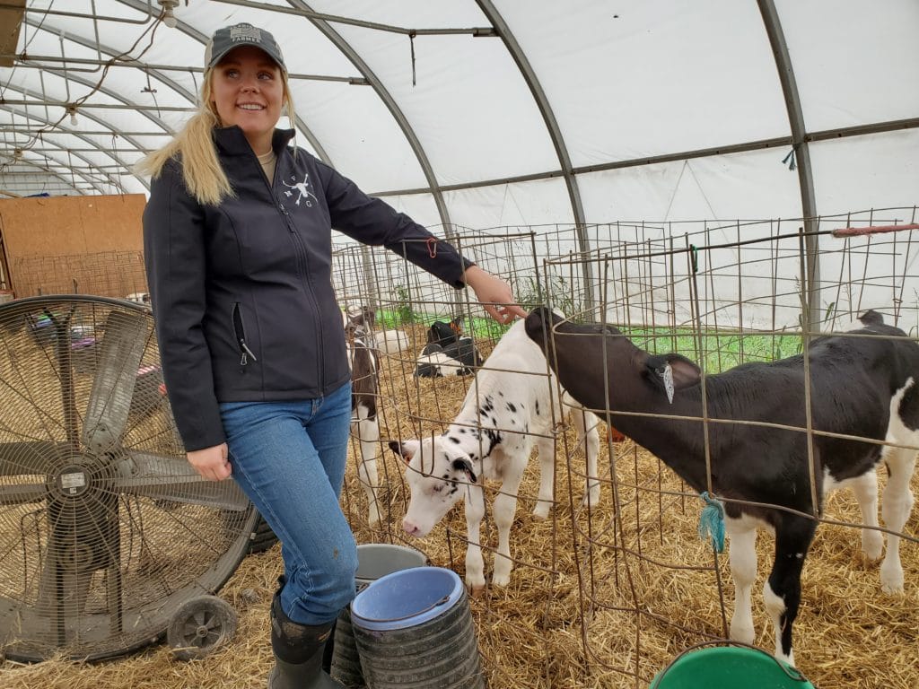 ny farm girl feeding a calf