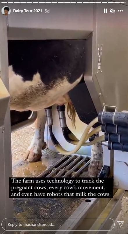 Instagram story demonstrating a milking machine