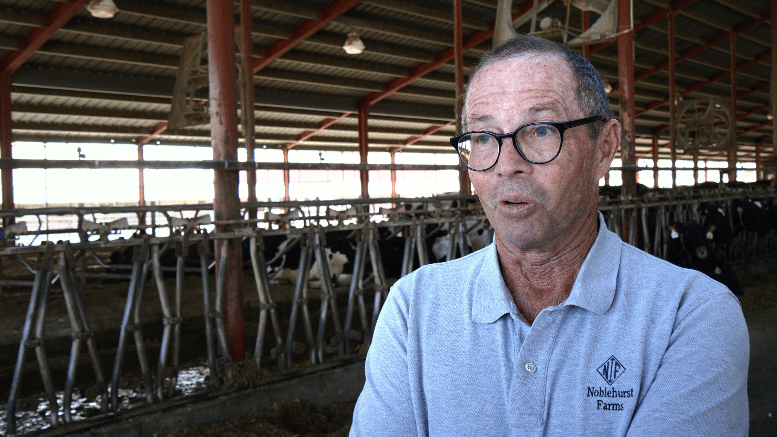 ‘This American Dairy Farmer’ Video Series Connects Consumers with the Passion of the People who Produce their Food