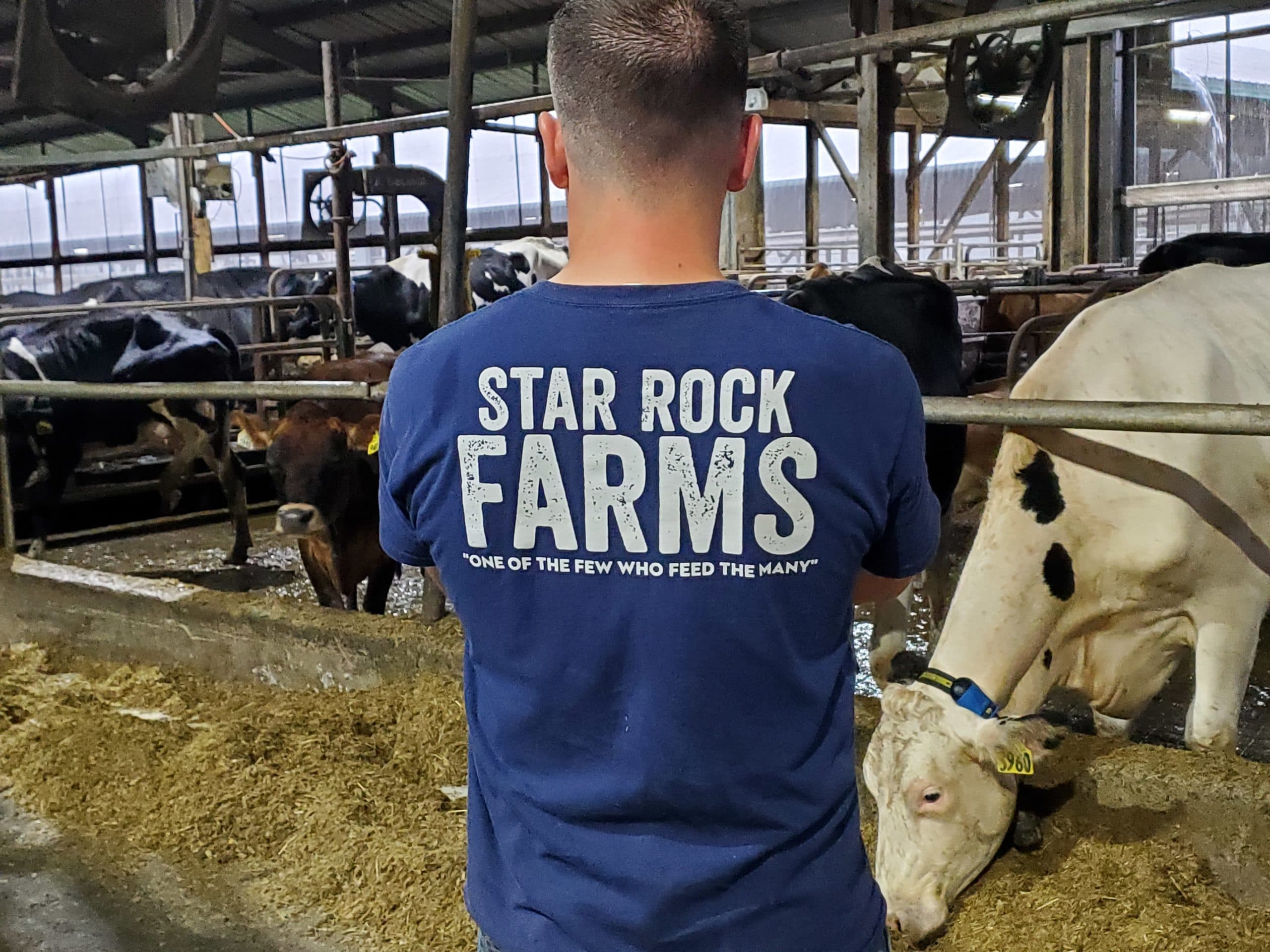 person with a shirt that says Star Rock Farms