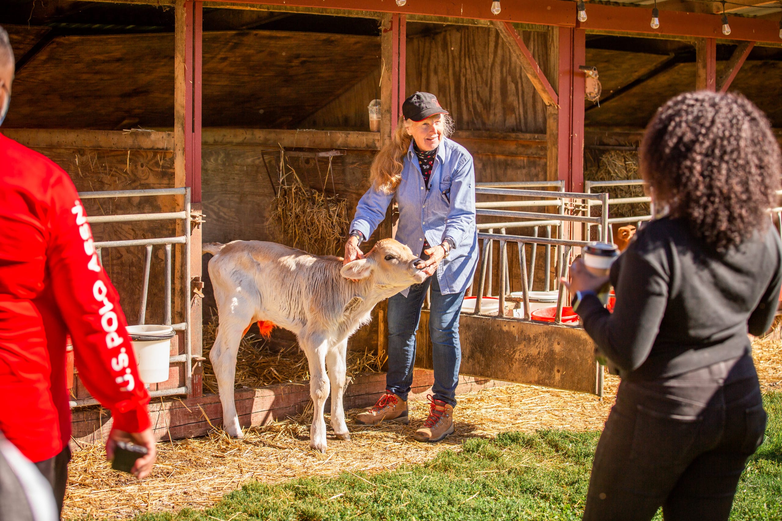 farmer with a calf