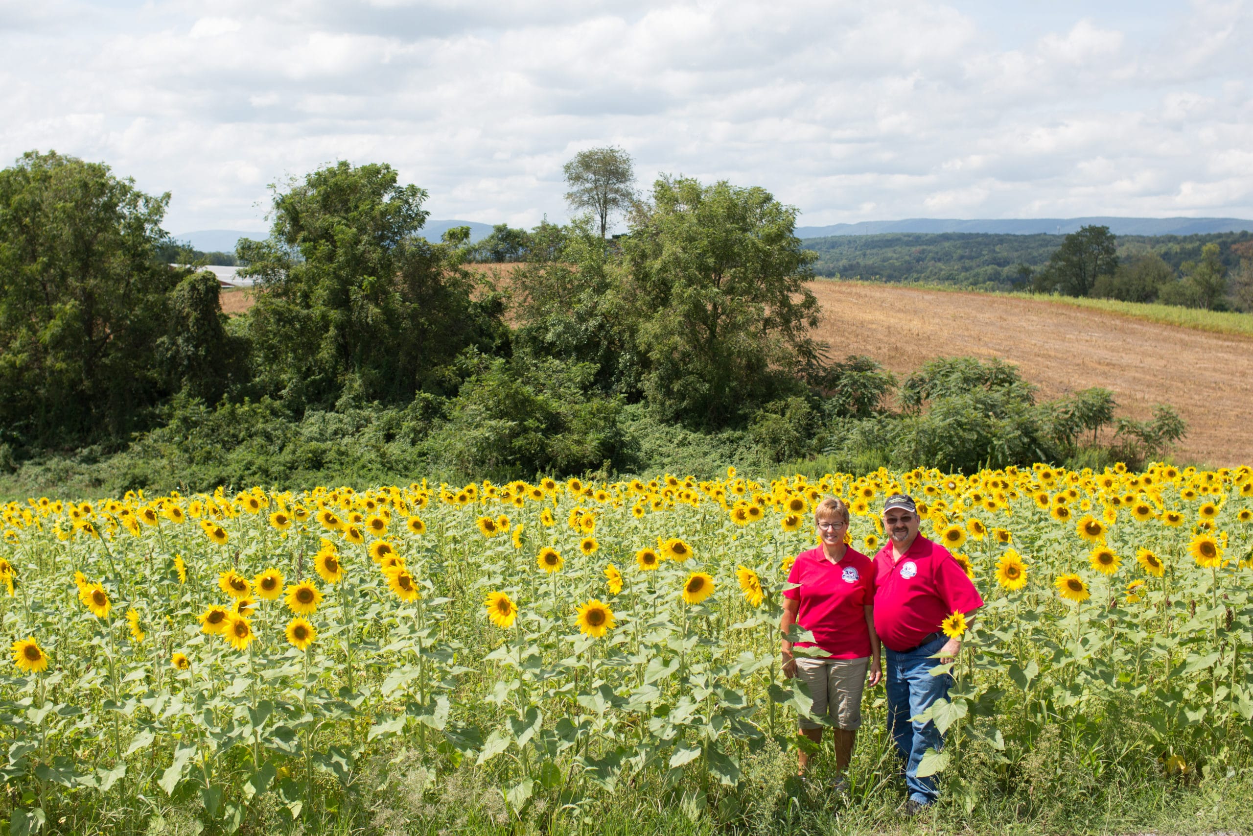 Local Dairy Farmers’ Story on Sustainability