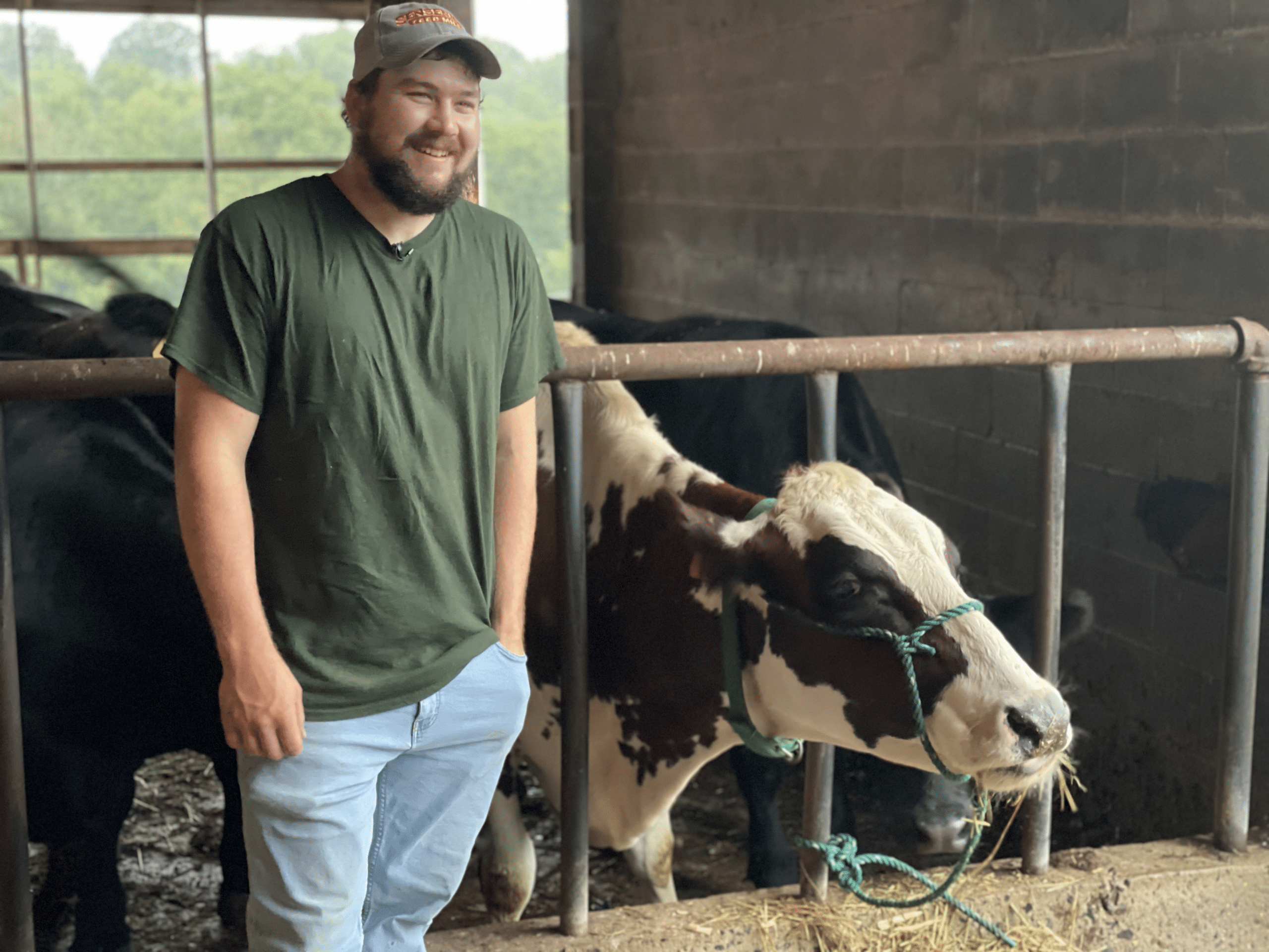 farmer with a holstein cow