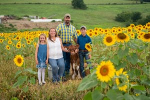 Family of farmers standing with a calf in a sunflower field