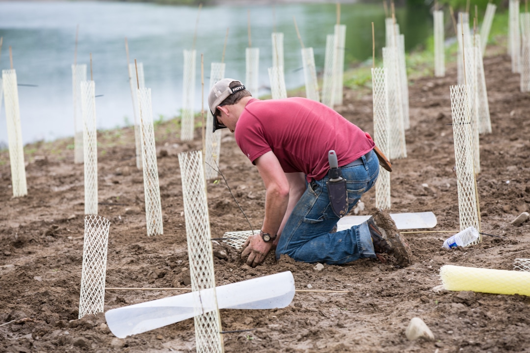 Volunteers Needed for Spring Tree Planting