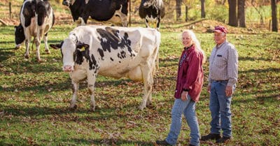 Un par de productores de leche parados cerca de las vacas lecheras en un campo.