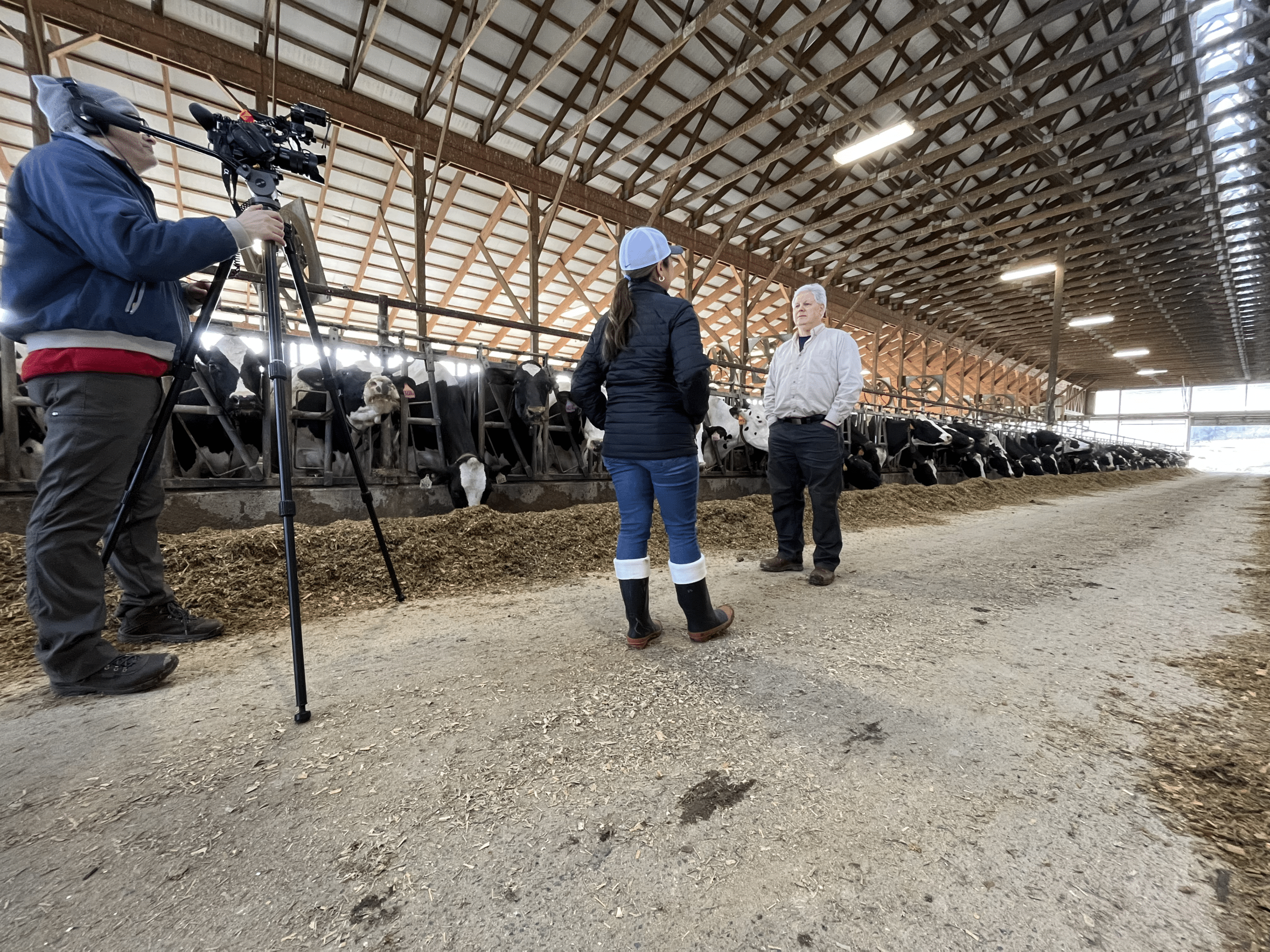 Woman interviewing a man in a barn