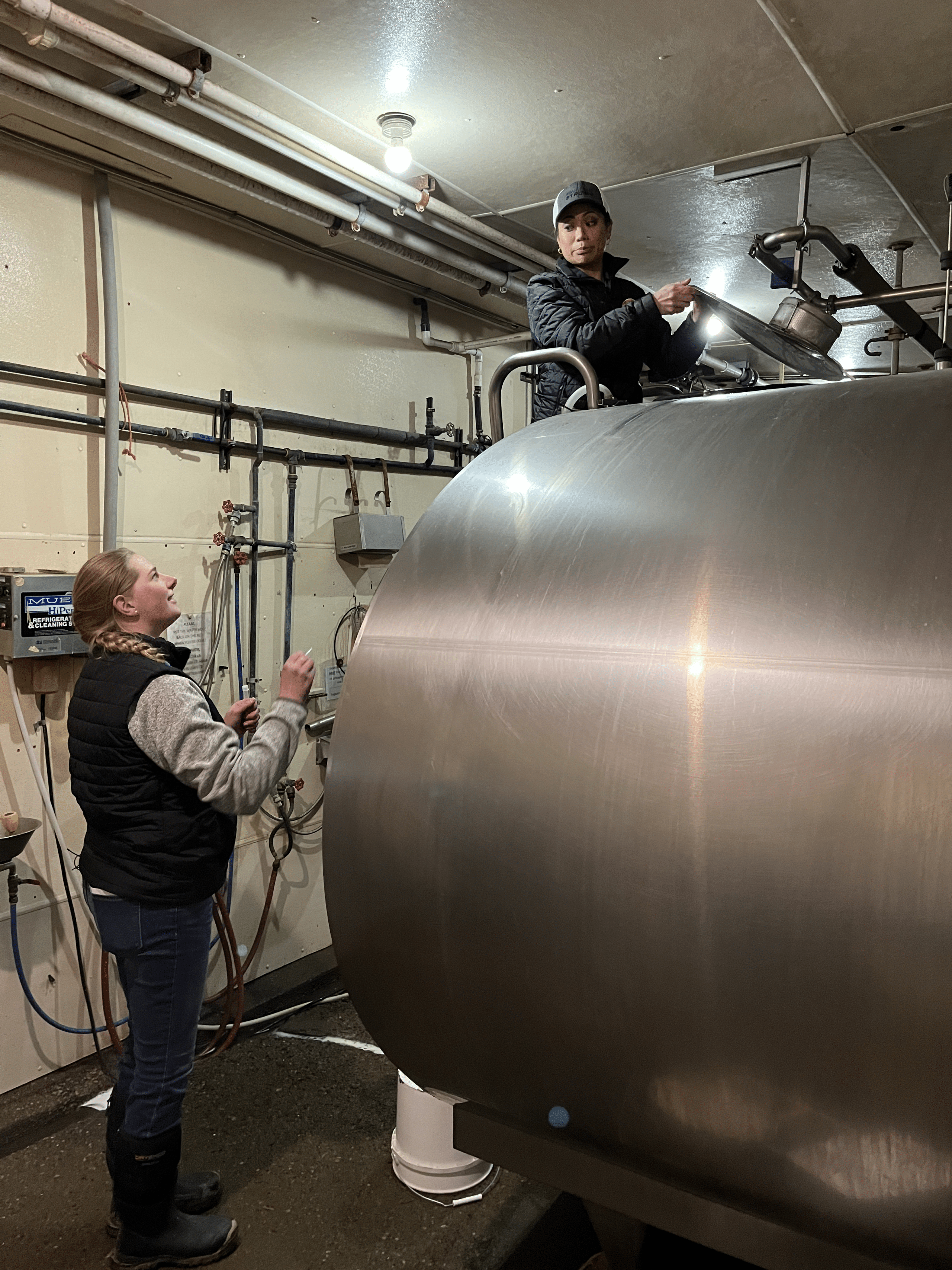 Woman climbing up a milk tank