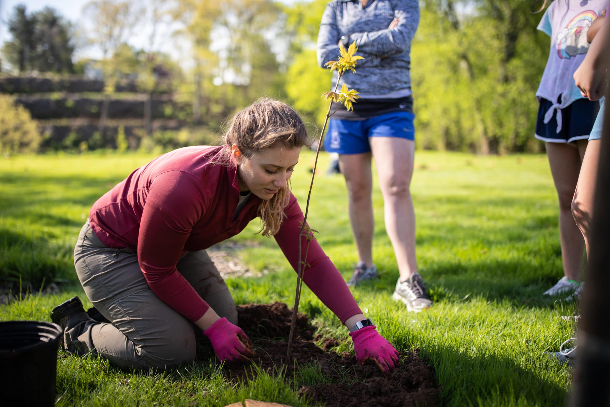 Woman planting a tree