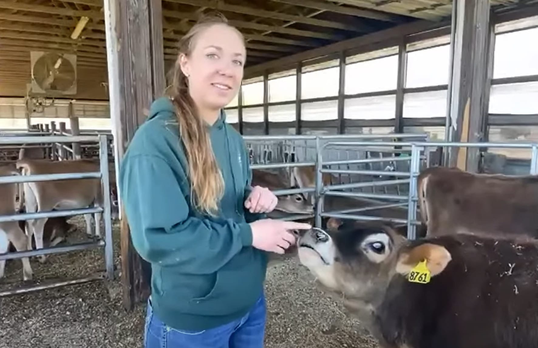 Adopt a Cow Program Continues to Grow Participation