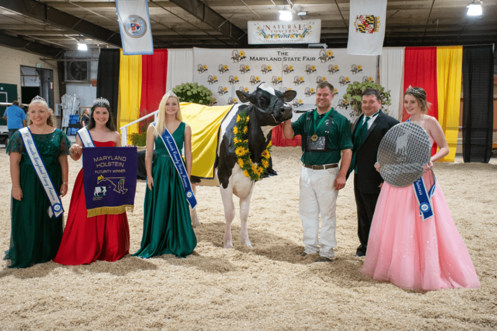2021 Maryland Holstein Futurity winner