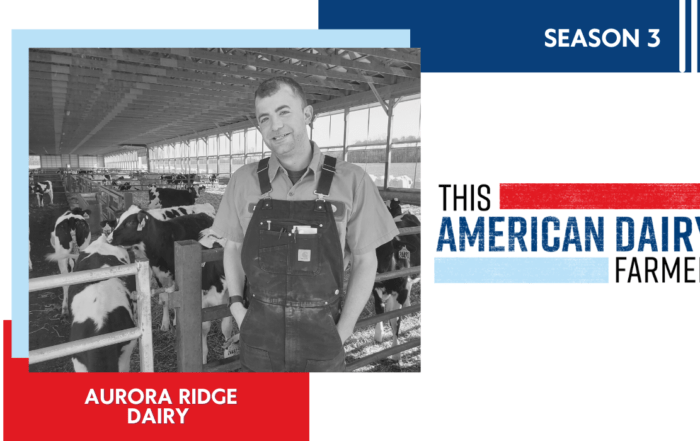 Lucas Schonfeld, the herd manager of Aurora Ridge Dairy, stands behind some cows inside the barn.